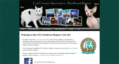 Desktop Screenshot of cfanorthwest.org